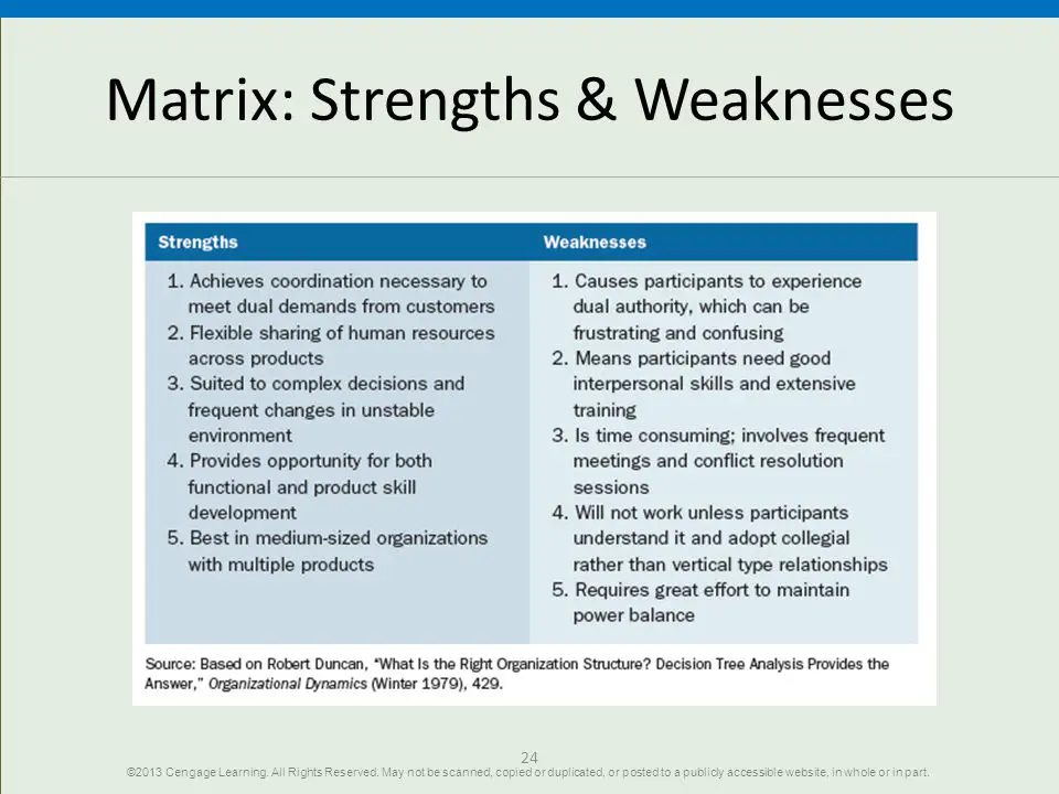 Figure X-11 Strengths and Weaknesses of Matrix Organization Structure