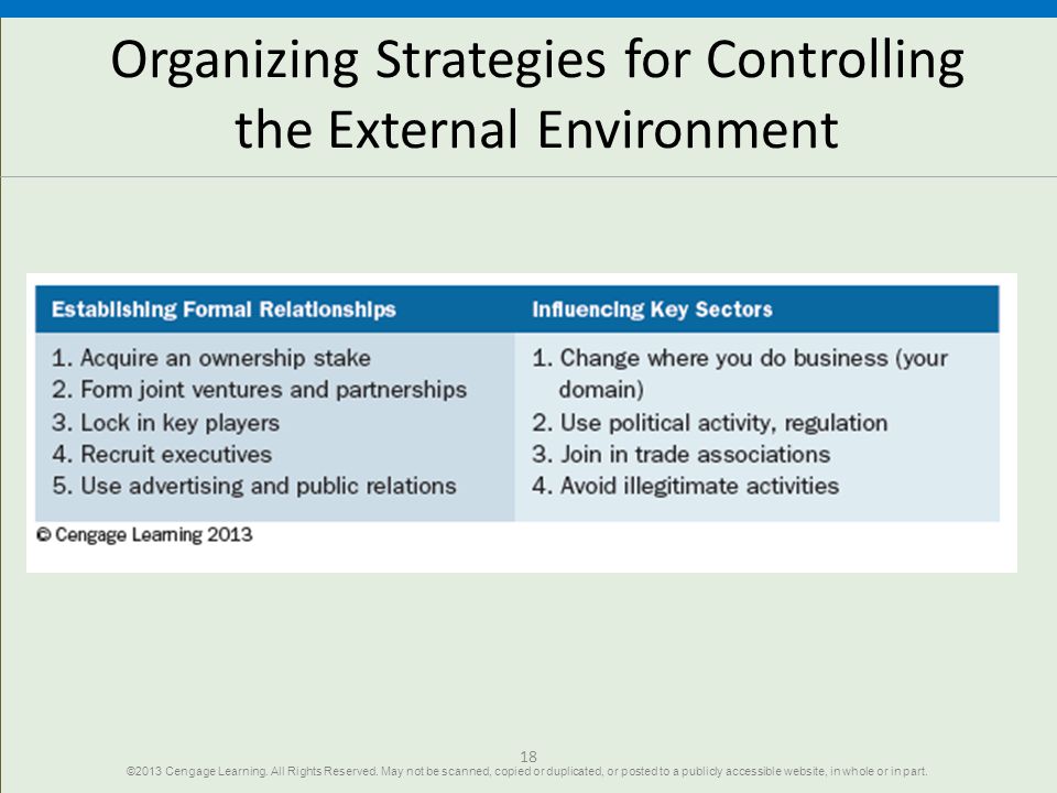 Figure X-8 Organizing Strategies for Controlling the External Environment
