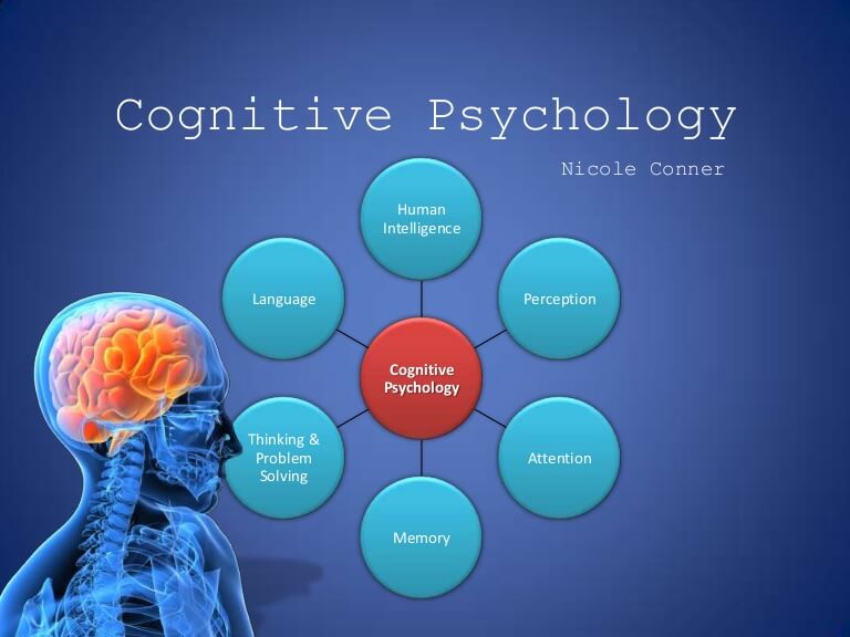 areas of study involved in cognitive psychology