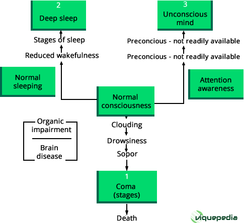 three levels of unconsciousness