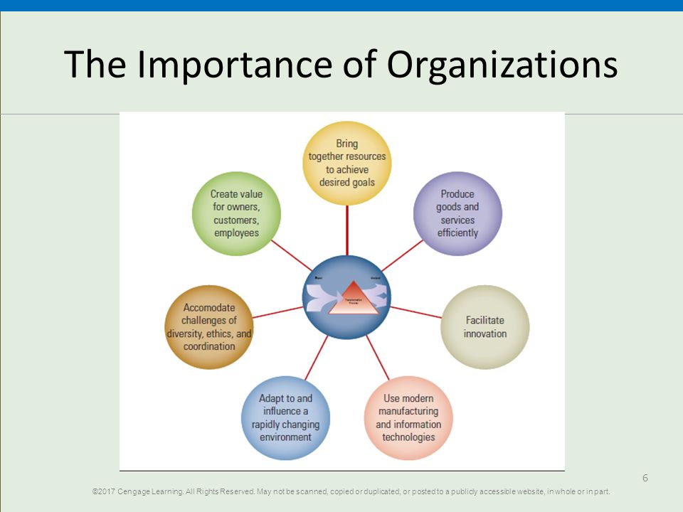 components showing the importance of organization