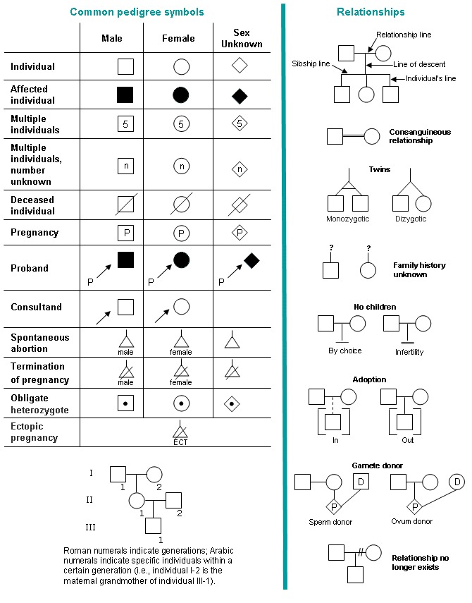 standardized symbols in three generation pedigree